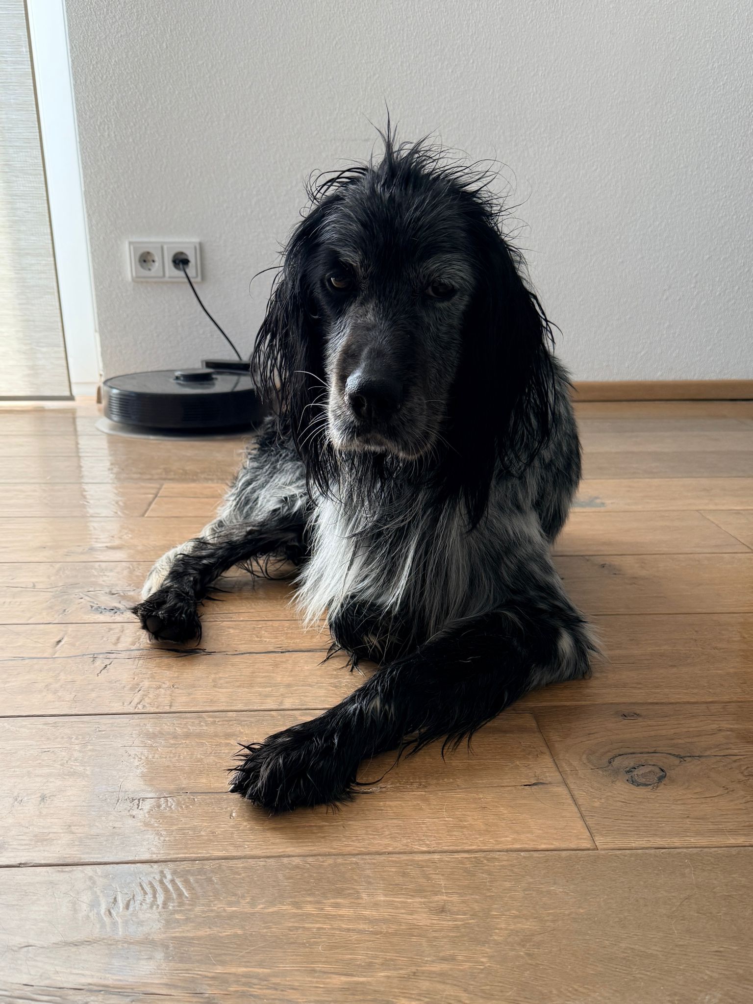 Kumba