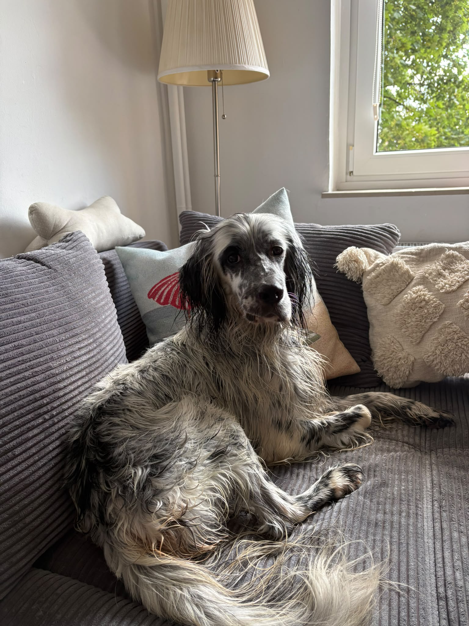 Max