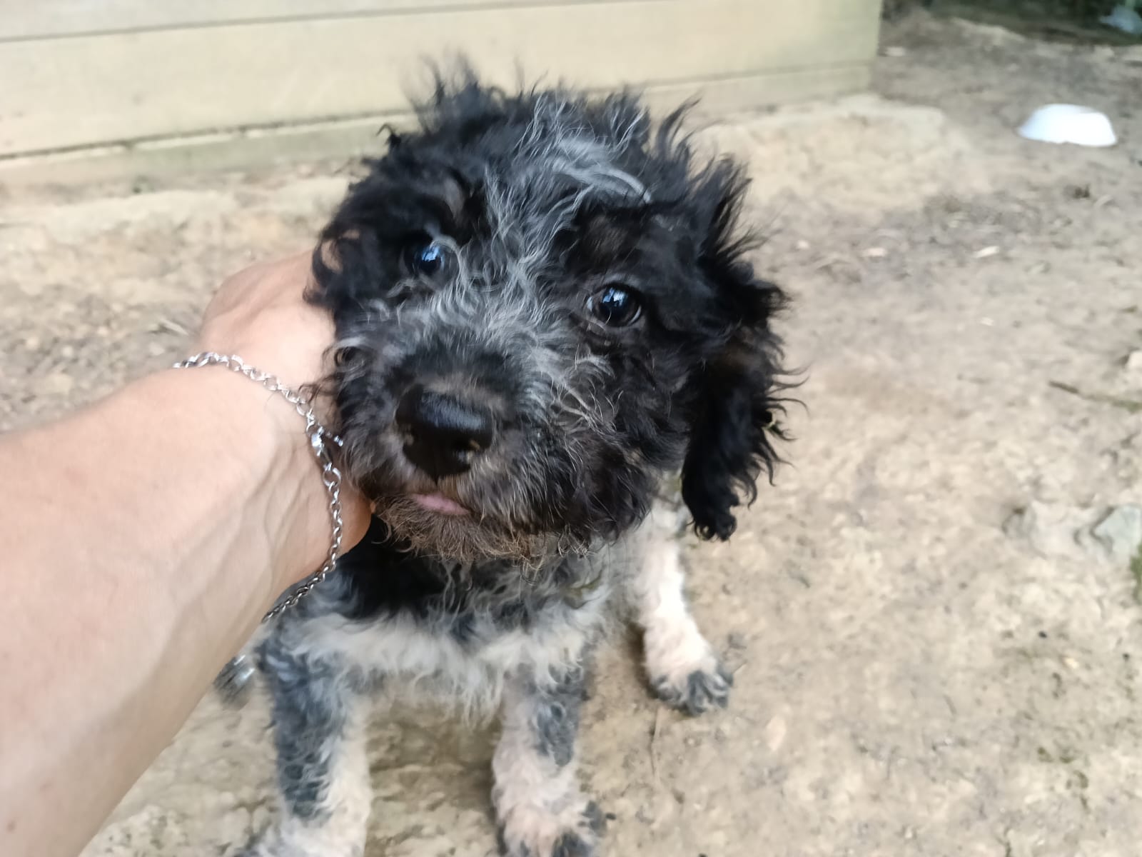 Nilo
