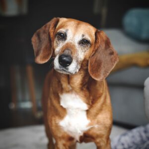 Ramona