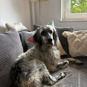 Max