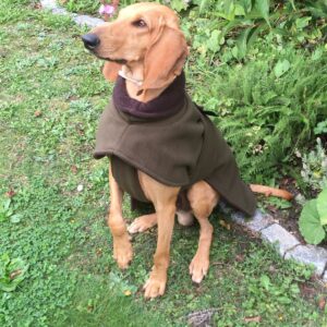 Missi