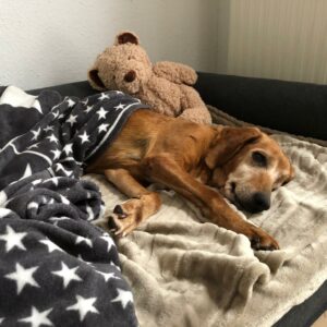 Zita