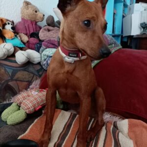 Winnie