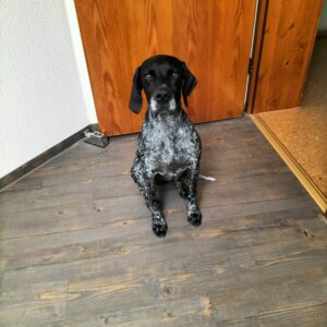 Maggie