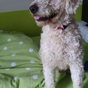 Milo