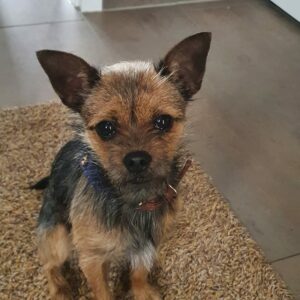 Charlie