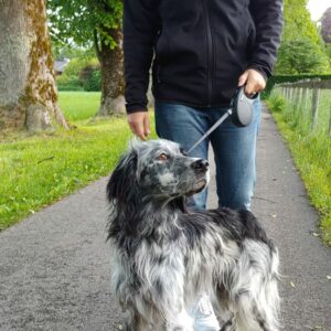 Sugar