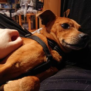 Max