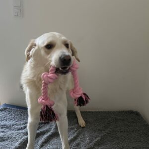 Sam