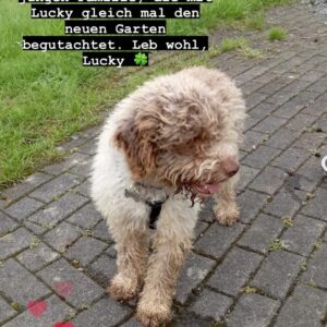 Lucky