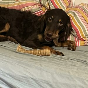 Winston