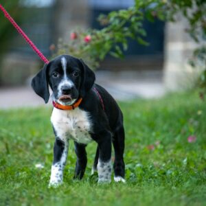 Sunny
