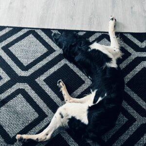 Udo