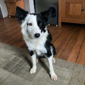Jenny