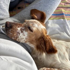 Josefine